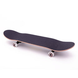 VINE | COMPLETE SKATEBOARD (Display Piece)