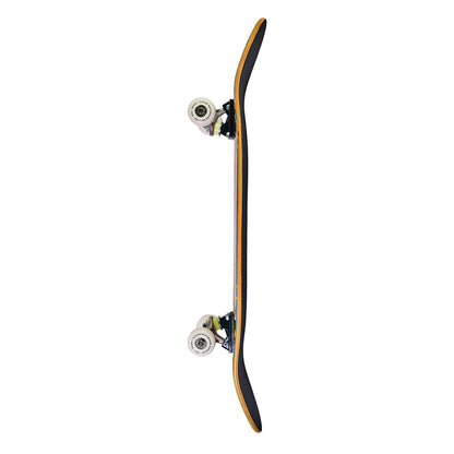 HIPPY 8.0- BEGNNIER SKATEBOARD