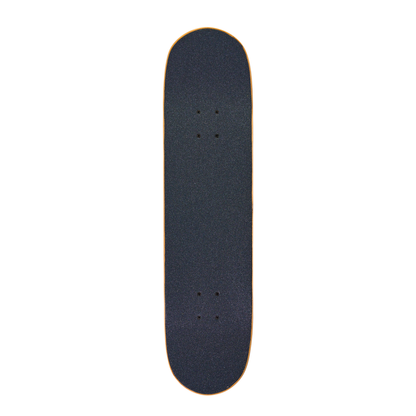 MAZE SKATEBOARD - COMPLETE