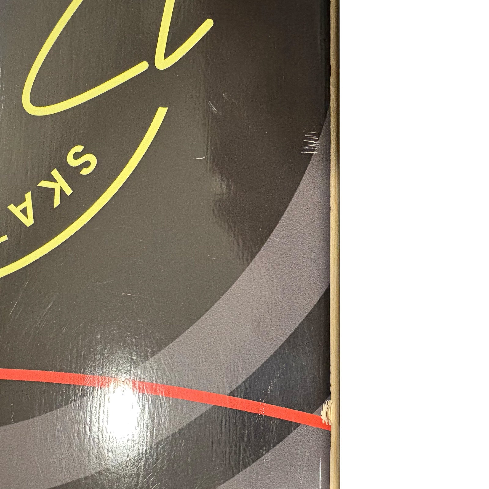 ECHO - COMPLETE SKATEBOARD (Demo Piece)