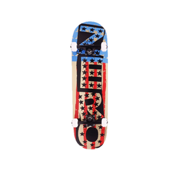 PUNK FOIL | COMPLETE SKATEBOARD